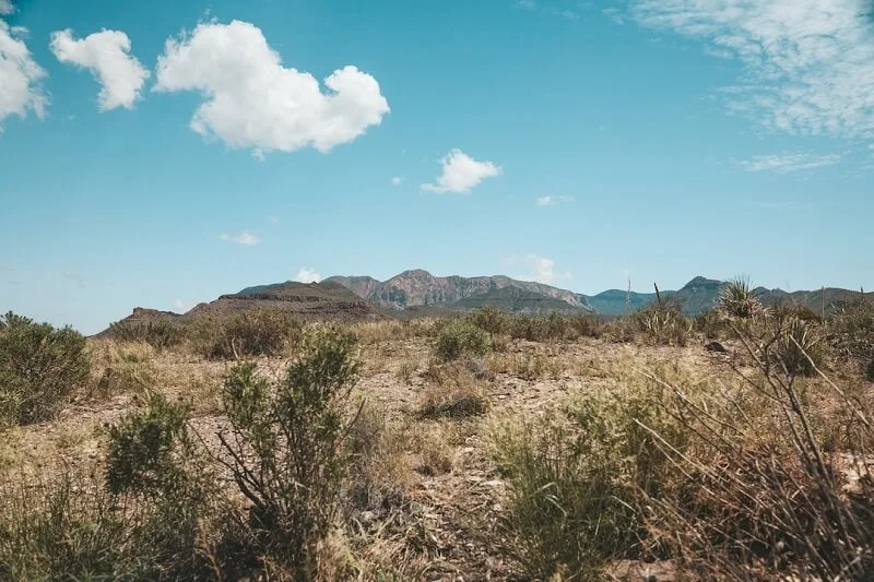 Business Landscape in Texas